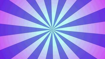 Colorful gradient purple and pink sunburst motion background, multicolor stripes sunburst background video