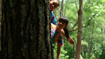 content famille cache derrière une arbre tandis que en jouant dans le parc. content mère et fille cache derrière une arbre tronc. vert écologiquement amical mode de vie. l'amour et protéger la nature concept. video