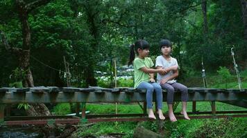 Cute Asian girls sitting together on wooden bridge. Two happy young cute girls are having fun outdoors. Asian siblings playing in the garden. video