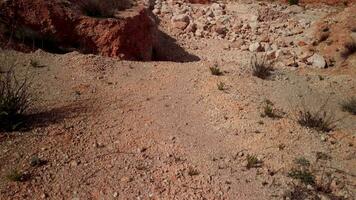 aéreo imágenes de un rojo Desierto video