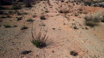 Antenne Aufnahmen von ein rot Wüste Boden video