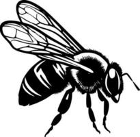 Honeybee - Black and White Isolated Icon - Vector illustration