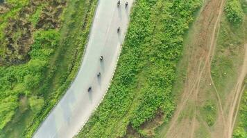 4K footage aerial view of the highway leading to residential areas between green fields. video