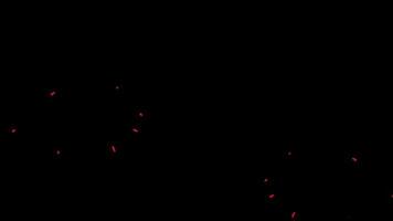 firework shape burst Explosive animation loop motion graphics video transparent background with alpha channel