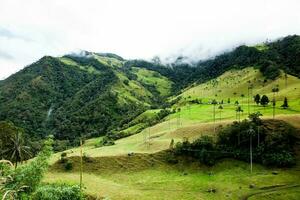 View of the beautiful cloud forest and the Quindio Wax Palms at the Cocora Valley located in Salento in the Quindio region in Colombia. photo