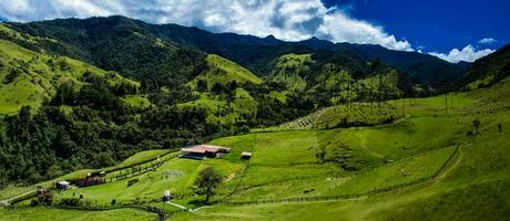 Beautiful panoramic view of the Cocora Valley at the Quindio region in Colombia photo