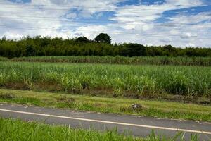 vacío bicicleta camino a lo largo el cali - Palmira la carretera en Colombia foto