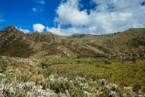 hermosa paisaje de Colombiana andino montañas demostración páramo tipo vegetación en el Departamento de cundinamarca foto