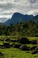 Beautiful landscape at the Cocora Valley with the famous Morrogacho Hill on the background photo