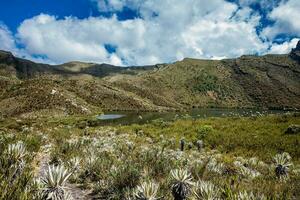 hermosa paisaje de Colombiana andino montañas demostración páramo tipo vegetación en el Departamento de cundinamarca foto