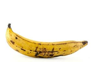 Ripe plantain isolated in white background. Musa x paradisiaca photo