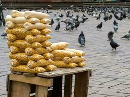 Corn being sold at San Francisco square in Cali to the people feed the pigeons while taking pictures photo