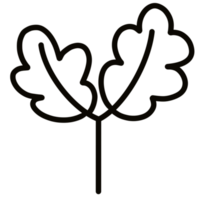 Leaf doodle line png