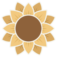 Sunflower in summer png