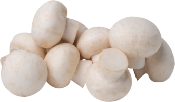 button mushroom cut out on transparent background. png