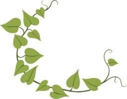 Simplicity ivy freehand drawing png