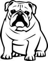 dog bulldog animal in black and white vector