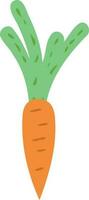 vegetable food a carrot vector