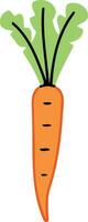 vegetable food a carrot vector