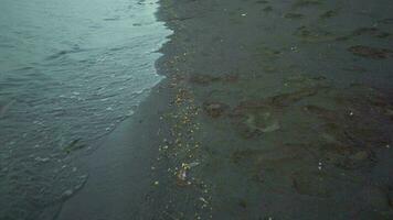 Man walk over the sea sand with sea wave. The footage is suitable to use for relaxion video background and travel content media.