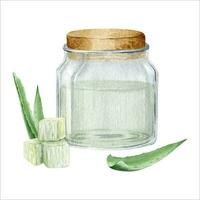 Glass jar with aloe vera juice. Mash and aloe succulent leaves. Watercolor illustration drawn by hands. Isolated on a white background. vector