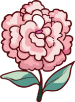 carnation png graphic clipart design