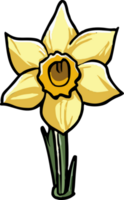 daffodil png graphic clipart design