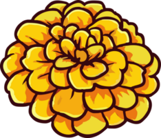 marigold png graphic clipart design