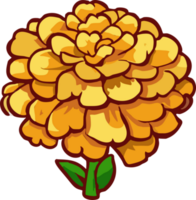 marigold png graphic clipart design