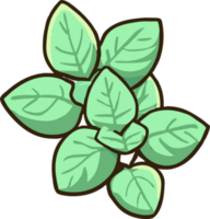 oregano png graphic clipart design