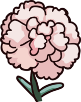 carnation png graphic clipart design