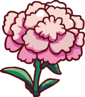 carnation png graphic clipart design