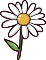 chamomile png graphic clipart design