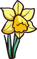 daffodil png graphic clipart design