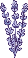 lavanda png gráfico clipart diseño