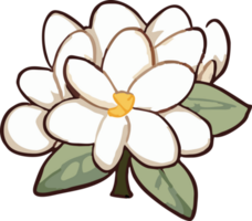 jasmin png grafisk ClipArt design