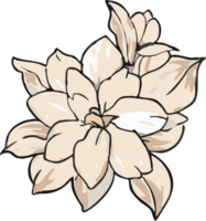 jasmin png grafisk ClipArt design