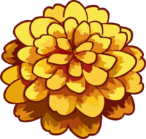 Ringelblume png Grafik Clip Art Design