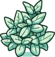 Oregano png Grafik Clip Art Design