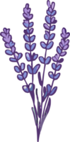 lavender png graphic clipart design