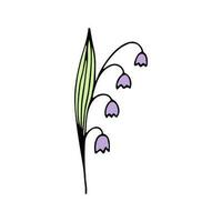 Cute single hand drawn flowers bell flower. Spring blossom vector