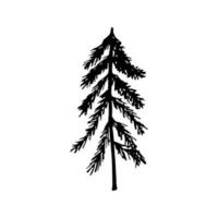 Single hand drawn New Year and Xmas pine tree. Doodle vector illustration for winter greeting cards, posters, stickers and seasonal design.