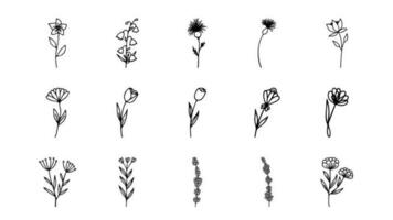 Hand drawn herbal, floral clipart collection. One line doodle vector set