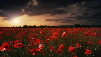 Poppy flower background for Anzac day. Illustration photo