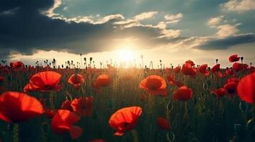 Poppy flower background for Anzac day. Illustration photo