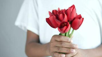 hand holding rose flower against gray wall video