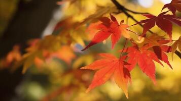 otoño hojas antecedentes ilustración ai generativo foto