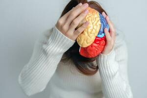 Woman holding human Brain model. World Brain Tumor day, Brain Stroke, Dementia, alzheimer, parkinson and world mental health concept photo