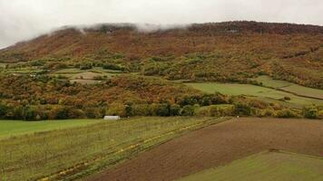 Aerial view in Autumn scene in Nacedero de Urederra. video