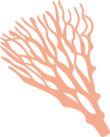 liquen o musgo aislado png elemento. bosque bosque hongo. linda mano dibujado biología y botánico ilustración aislado en transparente antecedentes. orgánico naturaleza planta